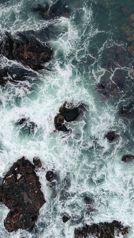 Pacific Grove Passion - Pacific Grove, California - Art Print